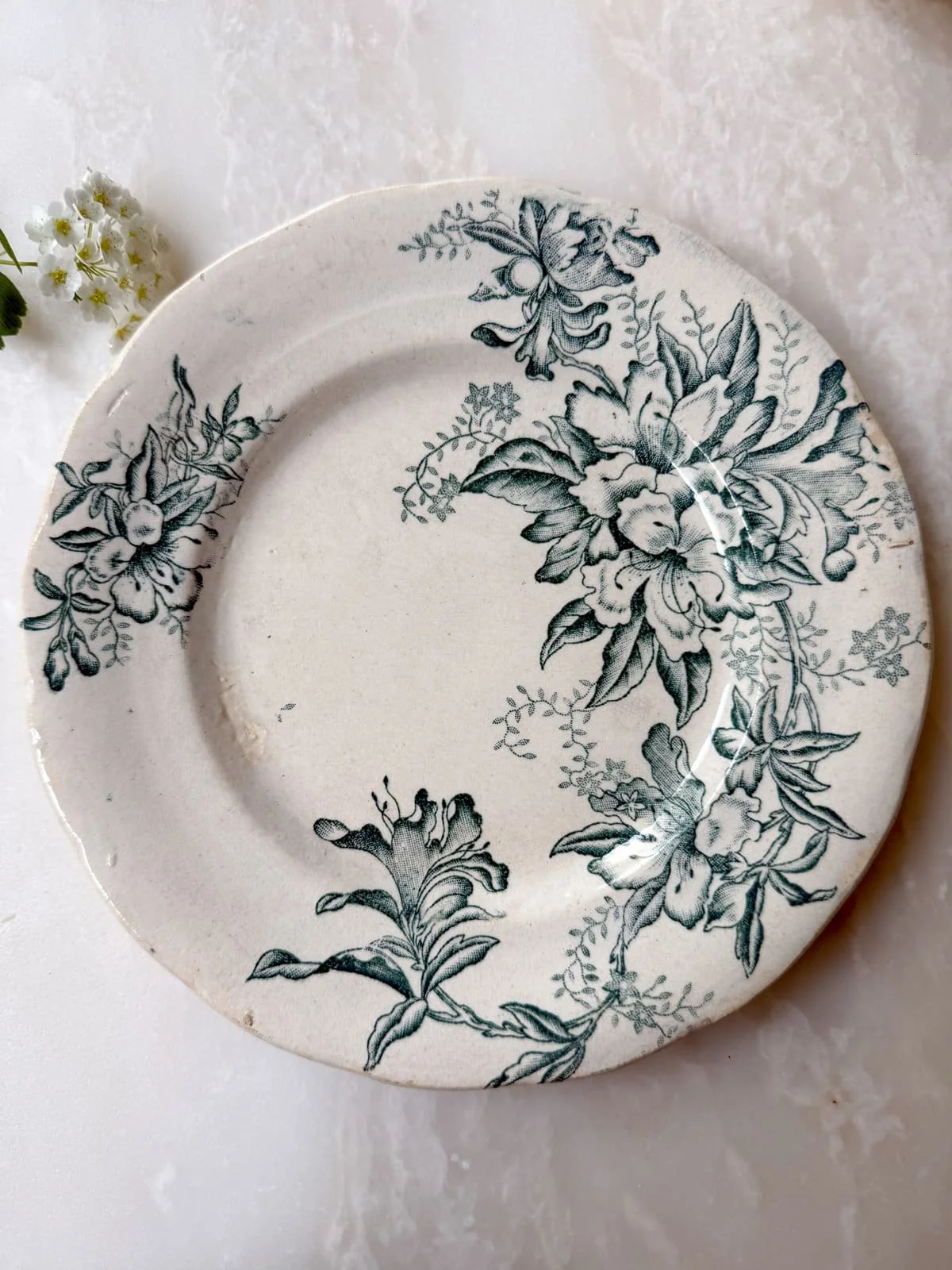 19th Century Antique French Ironstone Blue Floral Terre de Fer Plates